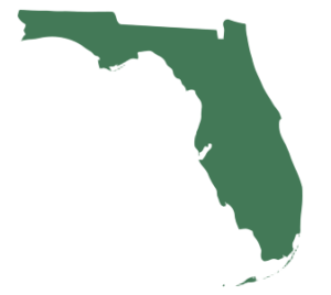 Silhouette of the State of Florida